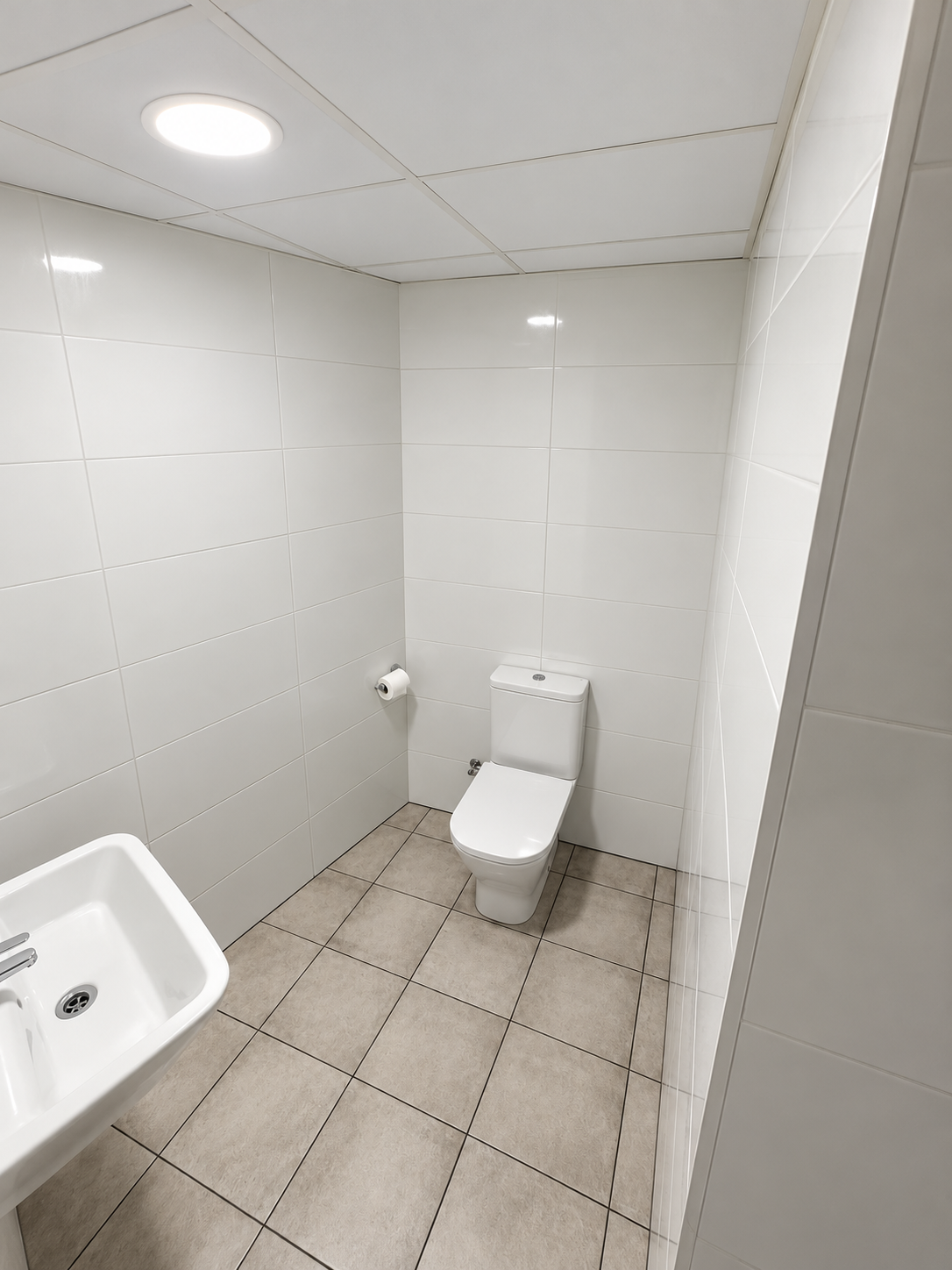 Baño equipado del local comercial de la calle Uztarroz